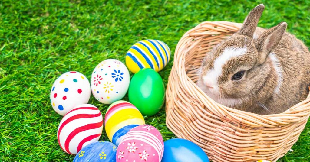 Ein Kaninchen in einem Korb mit bunten Eiern - Osterhase sucht Gewerbeimmobilie